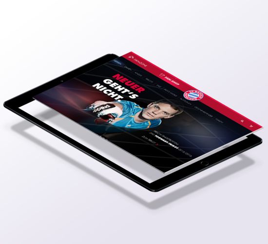 Webportal (Pitch)